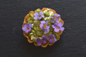 Hors d'oeuvres (Photo by Judith Mazza)